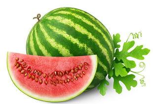 吃瓜是否会上火,吃瓜上火的真相揭秘