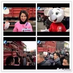 吃瓜姐说影视,揭秘热门剧集幕后故事