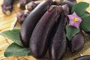 角瓜能跟茄子一起吃吗,健康搭配，美味共享