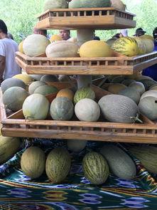 吃新疆的瓜,探寻新疆特色瓜果的魅力