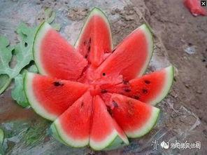 龙洞吃瓜,一场别开生面的吃瓜盛宴