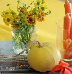 现在都吃花店的瓜,揭秘花店里的那些秘密与趣闻